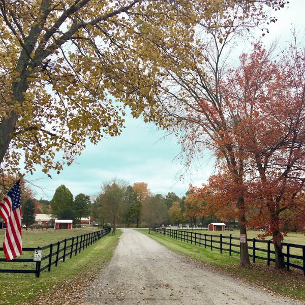 Whispering Winds Equestrian Facility